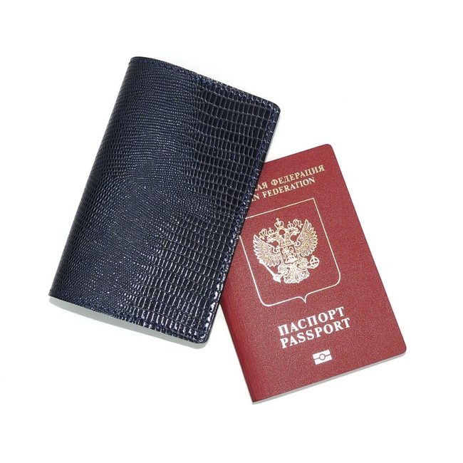 Обложка для паспорта кожаная синяя Рептилия